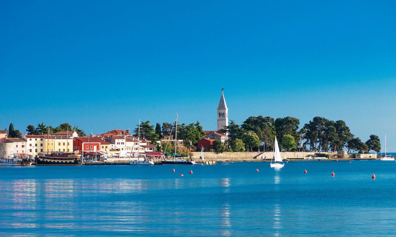 Apt Gioan Novigrad, 500M To Sea, Private Heated Jacuzzi, Bbq, Private Parking Novigrad  Екстер'єр фото